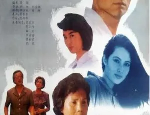 1991中国大陆经典爱情电影 情归鹭岛 国语中字 高清怀旧-蓝海网