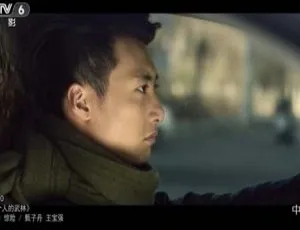 如果没有你 2013年中国大陆经典作品