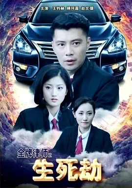 赵文瑄律师剧