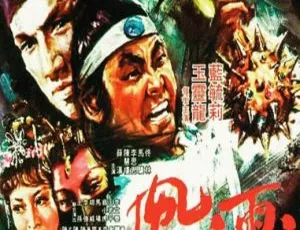 1976 中国大陆 风雨双流星 国语中字