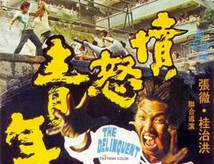 1973香港邵氏愤怒青年 国语中字 720p MKV-蓝海网