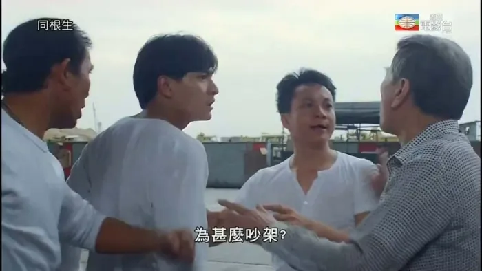 刘德华林威动作片