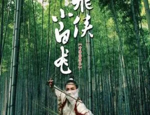 2004 香港 飞侠小白龙-The White Dragon 国语中字 MKV-2.17G 张柏芝 吴镇宇 安志杰
