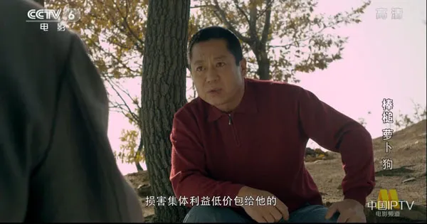 农村三十年变迁电影