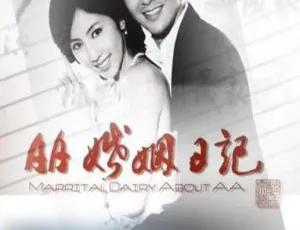 AA婚姻日记 2010中国大陆 国语中字