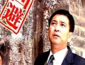 法官老张轶事之回避 2005 中国大陆 国语中字-蓝海网
