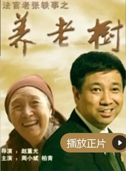 法官老张养老树纠纷