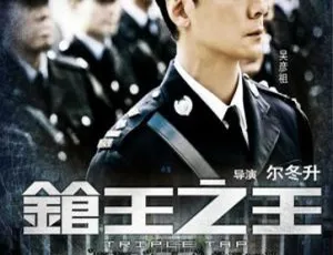 枪王之王 2010 国语中字 高清电影