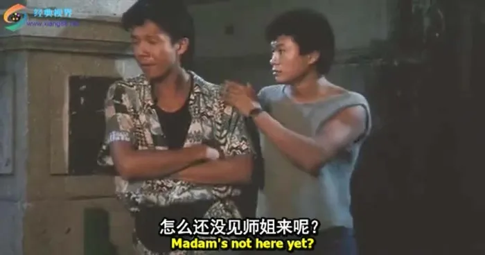皇家师姐杨紫琼