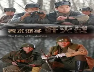 秀水河子歼灭战 2013中国大陆战争片 汉语普通话高清完整版