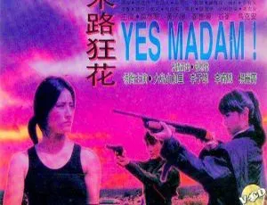 1992香港犯罪动作 末路狂花 国语中字 杨丽菁 李赛凤 MKV高清版