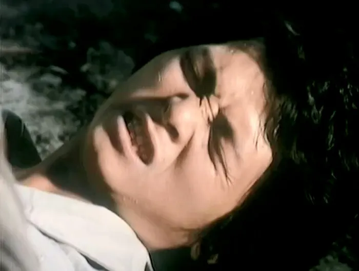 1978香港蛇珠电影