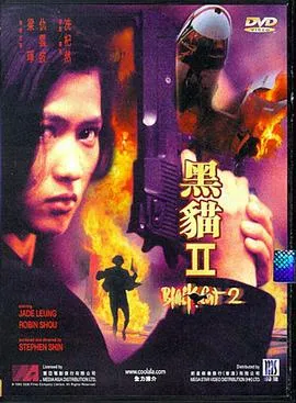 梁琤机械改造人