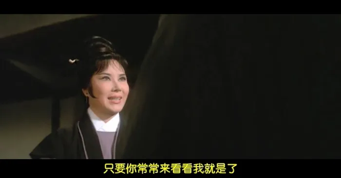 国语经典动作片