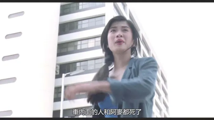 跨国动作港片