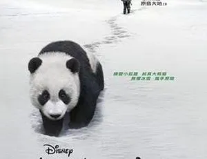 2009 熊猫回家路 国语中字-蓝海网
