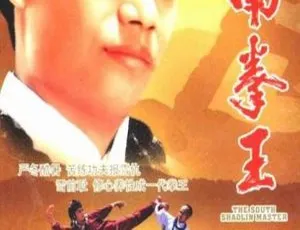 1984 香港经典动作 南拳王 国粤双语 中文字幕-蓝海网
