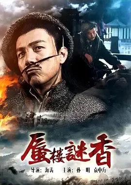 段岚探案