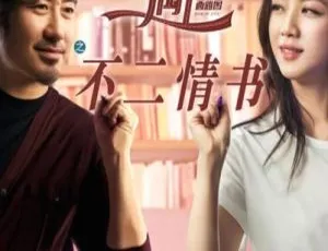 2016大陆电影北京遇上西雅图之不二情书国语中字-蓝海网