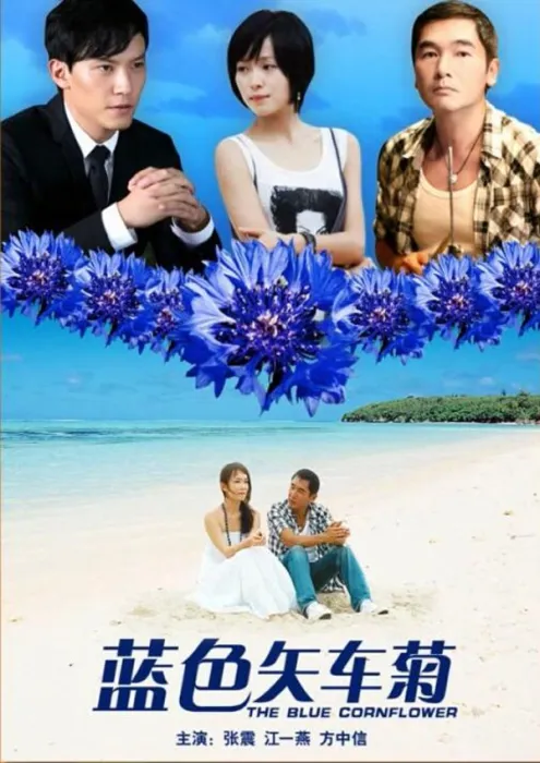 蓝色矢车菊2010高清版