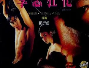 1993香港犯罪剧情电影 孽戀狂花 国粤双语 MKV无字幕版