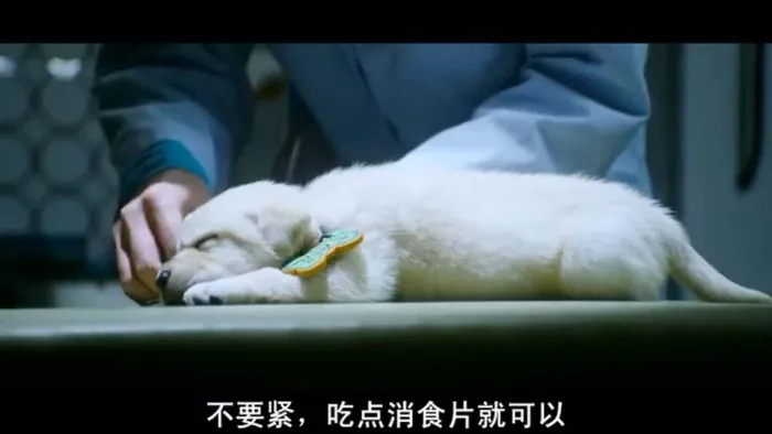 心心历险记 高清韩语
