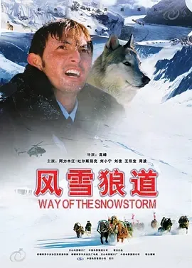 新疆雪灾救援电影