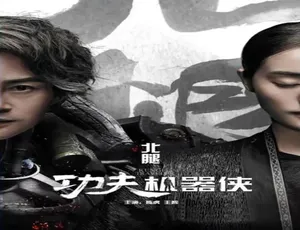 2017中国动作片《功夫机器侠：北腿》普通话高清版-蓝海网