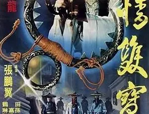 1979台湾经典电影 多情双宝环 国语 DVD版-蓝海网