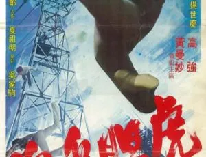 虎胆追魂 国语中字 1974年台湾电影 高清修复版跨国劫杀 1995 中国大陆 国语中字