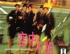 1995香港经典电影 空中小姐 国粤双语 MKV高清版