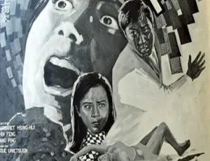 遗产五亿元 1970年中国香港电影 国语中字 刑慧 金峰主演-蓝海网
