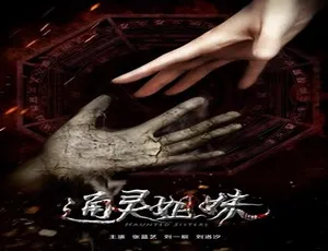 《通灵姐妹》2017惊悚恐怖片 国语高清完整版