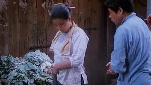 战争阴影 女性生存