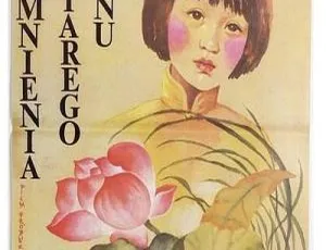 1982城南旧事国语中字CCTV6高清MKV绝版收藏红伶泪 1965 香港邵氏经典 国语中字 720p MKV高清