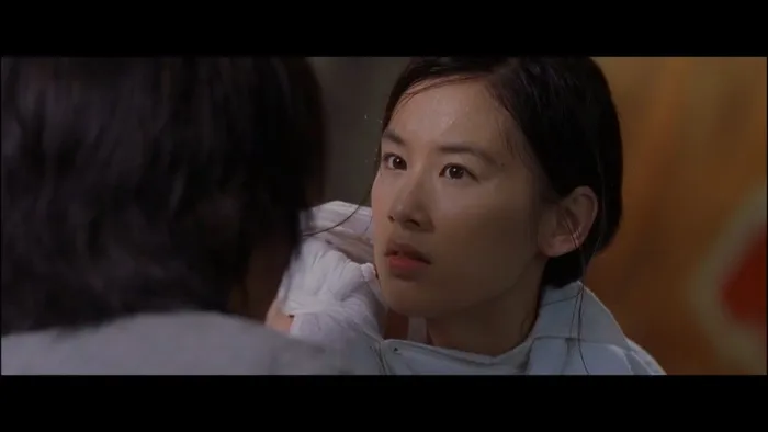 2004香港经典功夫片