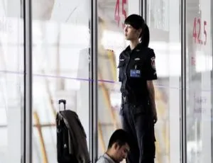 2011国产电影万有引力 白百何 郭涛 张静初 DVD-MKV高清版