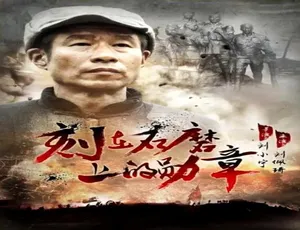 《刻在石磨上的勋章》2016年中国大陆汉语普通话电影