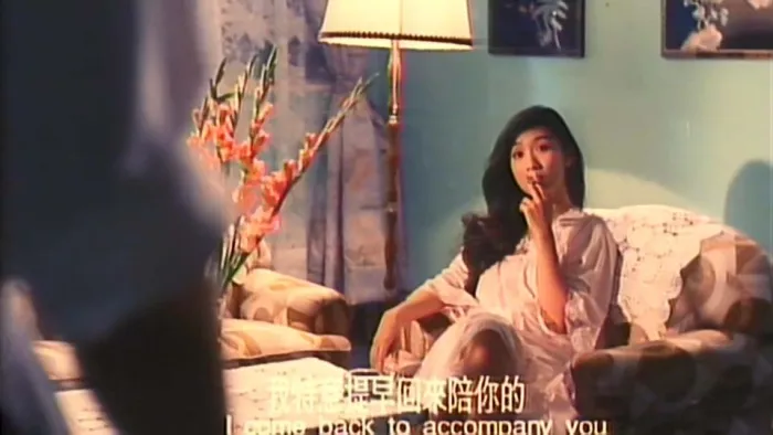 1993艳降电影