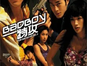 2000香港动作片badboy特攻国语中字MKV高清1993中国大陆少林豪侠传国语中字