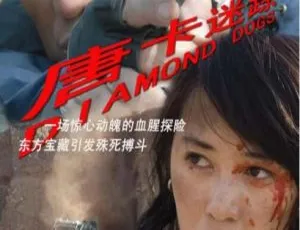 2007 加拿大 中国大陆 唐卡迷踪 国语中字山村会计 1965国语中字中国大陆经典电影