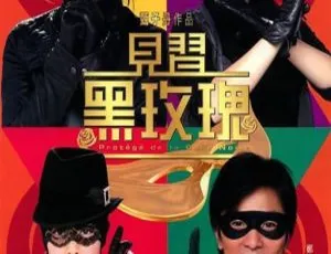 2004香港动作片 见习黑玫瑰女子扫黑组 4K国语修复版