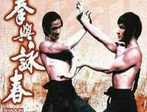 1974 香港 洪拳和咏春 国语中字 DVD版