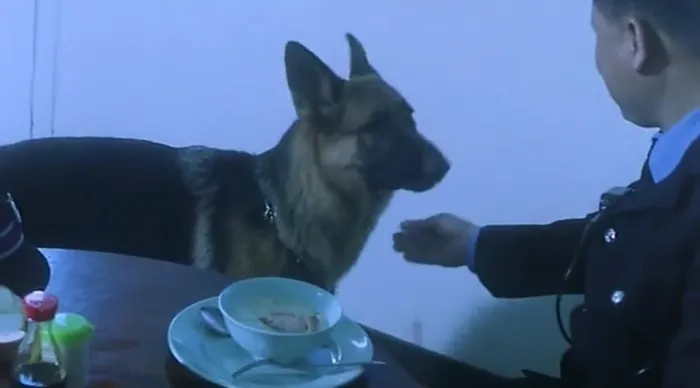 香港犯罪动作电影2000