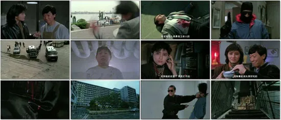 甄子丹动作片