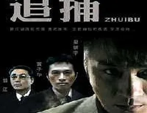 2007香港追捕国语中字版 MPG格式