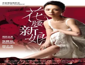 2005中国经典电影花腰新娘普通话高清版