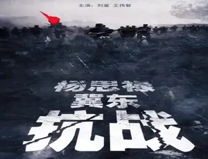 杨思禄冀东抗战 2014中国大陆历史纪录片 普通话高清全记录-蓝海网