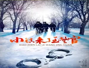 小镇来了王警官 2015国产警匪悬疑剧情片 汉语普通话-蓝海网