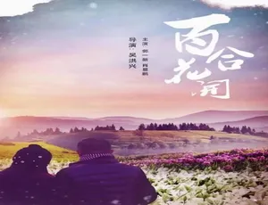 百合花开 2011年大陆爱情剧情片 国语高清版